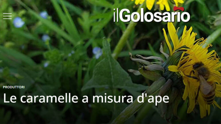 I Mieli del Ronchello Conquistano il Golosario